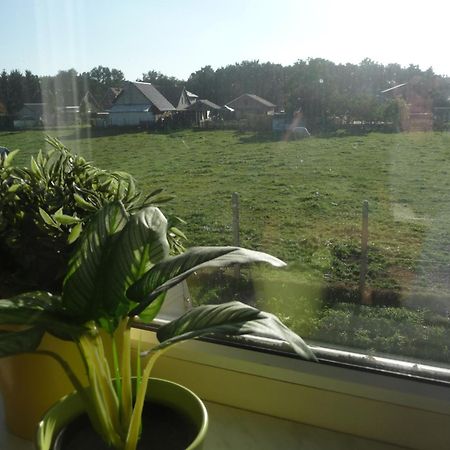 Apartamento De Alpacaboerderij Bocholt Habitación foto