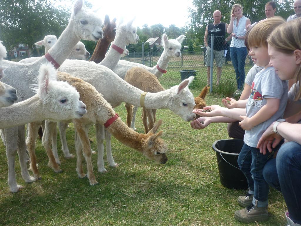 Apartamento De Alpacaboerderij Bocholt Exterior foto