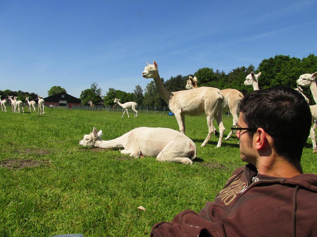 Apartamento De Alpacaboerderij Bocholt Exterior foto